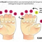 fhari yang bagus untuk potong kuku