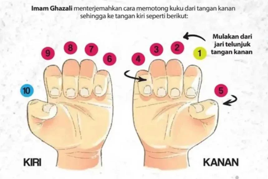 fhari yang bagus untuk potong kuku