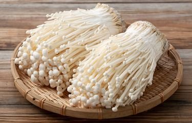 Jamur Enoki Tahan Berapa Lama